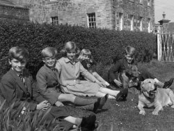Holdsworth children at Bellinter, 1960