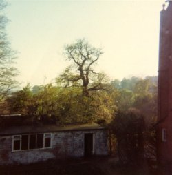 The vegetable garden and shed at Newlands, Harrow School, ca 1967