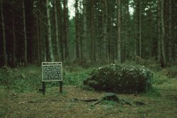 The Kappoch Stone, Scotland 1973