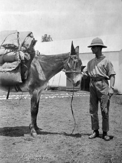 CSG, Rhodesia, 1912