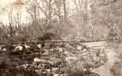 Landscape view, Ashwicken Hall, 1915