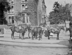 Livery Horses, Felixstowe School Upper Belgrave Road, c1910