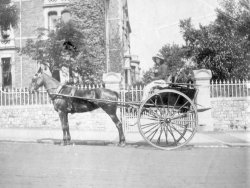 An Equestrian Holiday, Upper Belgrave Road, c1910