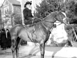 An Equestrian Holiday, Upper Belgrave Road, c1910