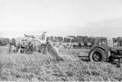 Harvesting at Bellinter Park, 1954