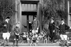 Catteral Beagles, ca 1928