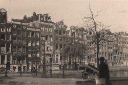 Amsterdam 1946