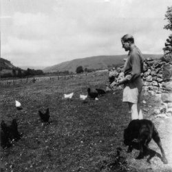 Bill Holdsworth, feeding the hens, 1947
