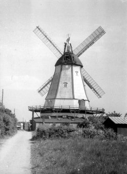 A windmill near the fish pub, Denmark, ca 1950
