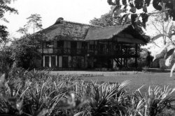 Jimmy Strang's home in Assam