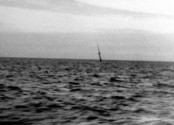 The mast of a large ship sunk in the North Sea 1952