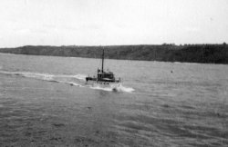 Gwynreta, in Scarborough Bay, 1955