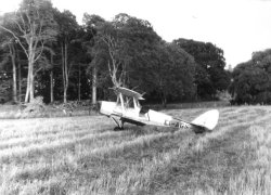 Tiger Moth aeroplane at Bellinter, 1955