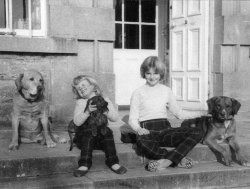 Girls and Dogs at Bellinter, 1960