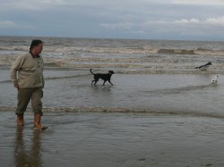 A stroll with the dogs at Bream Sands, Somerset