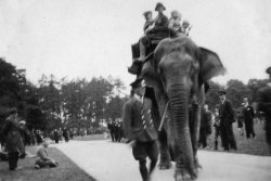 Whipsnade Zoo, 1928
