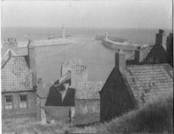 Whitby Harbour 1950