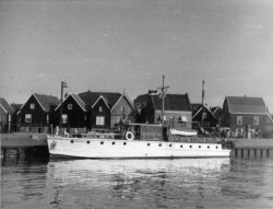 Gwynreta at Marken Holland 1953