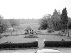 The Front Lawn, Bellinter Park, 1953