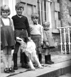 Holdsworth Children at Bellinter, 1955