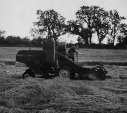 Bill Holdsworth driving the Massey-Harris combine harvester at Bellinter, 1955