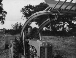 Tom Metcalfe Harvesting at Bellinter, 1956