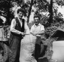 'Pa' and 'Ronnie' packing Mint, 1959