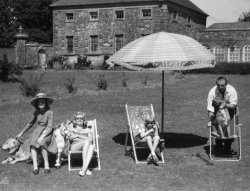 A Summer day at Bellinter, 1960
