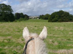 A view from the saddle at Buckland House, Devon